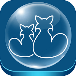 从安博APP获取权威资讯,提升您的知识技能